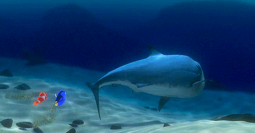 Large animation-movie shark called Bruce from movie "Finding Nemo" almost biting small fish characters Marvin and Dory.